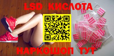 шишки Кимры