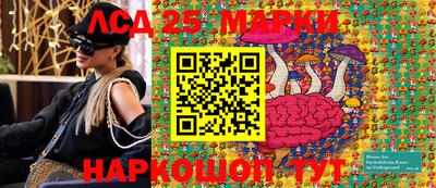 шишки Кимры