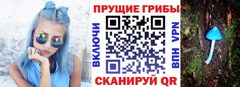 kraken рабочий сайт  Фрязино  Галлюциногенные грибы мухоморы 