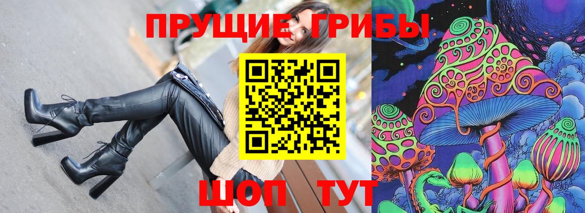 Псилоцибиновые грибы Cubensis Фрязино