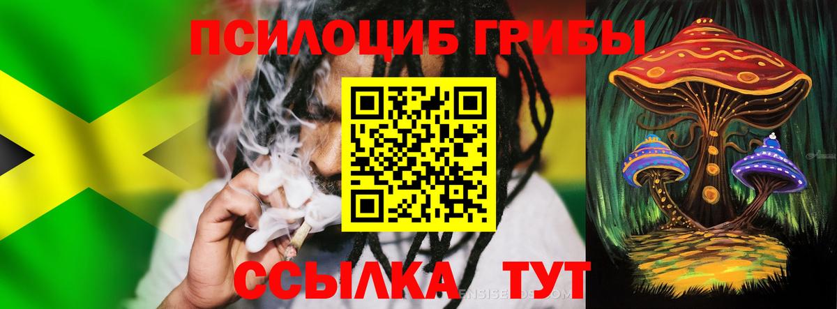 Псилоцибиновые грибы Magic Shrooms  Псилоцибиновые грибы прущие грибы  Вход с VPN  цена   Фрязино 