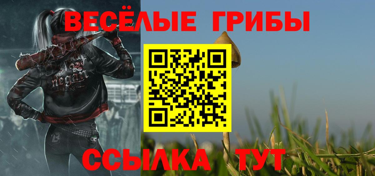 Псилоцибиновые грибы MAGIC MUSHROOMS  Псилоцибиновые грибы ЛСД  Фрязино 